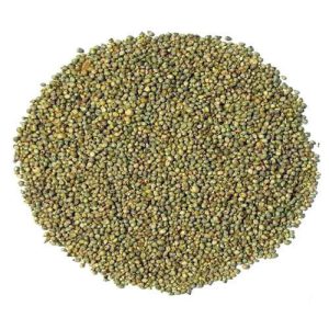 Bajra